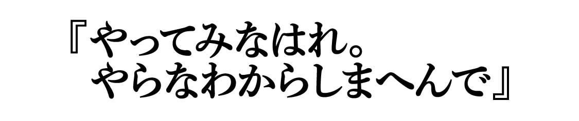 やってみなはれ。